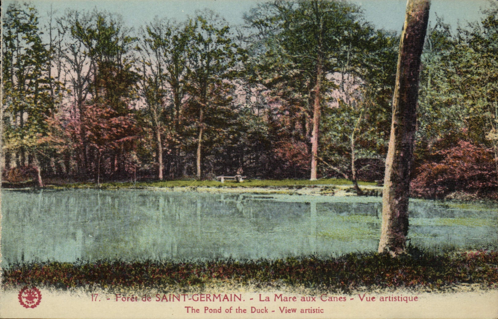 CPA St Germain en Laye Foret La Mare aux Canes