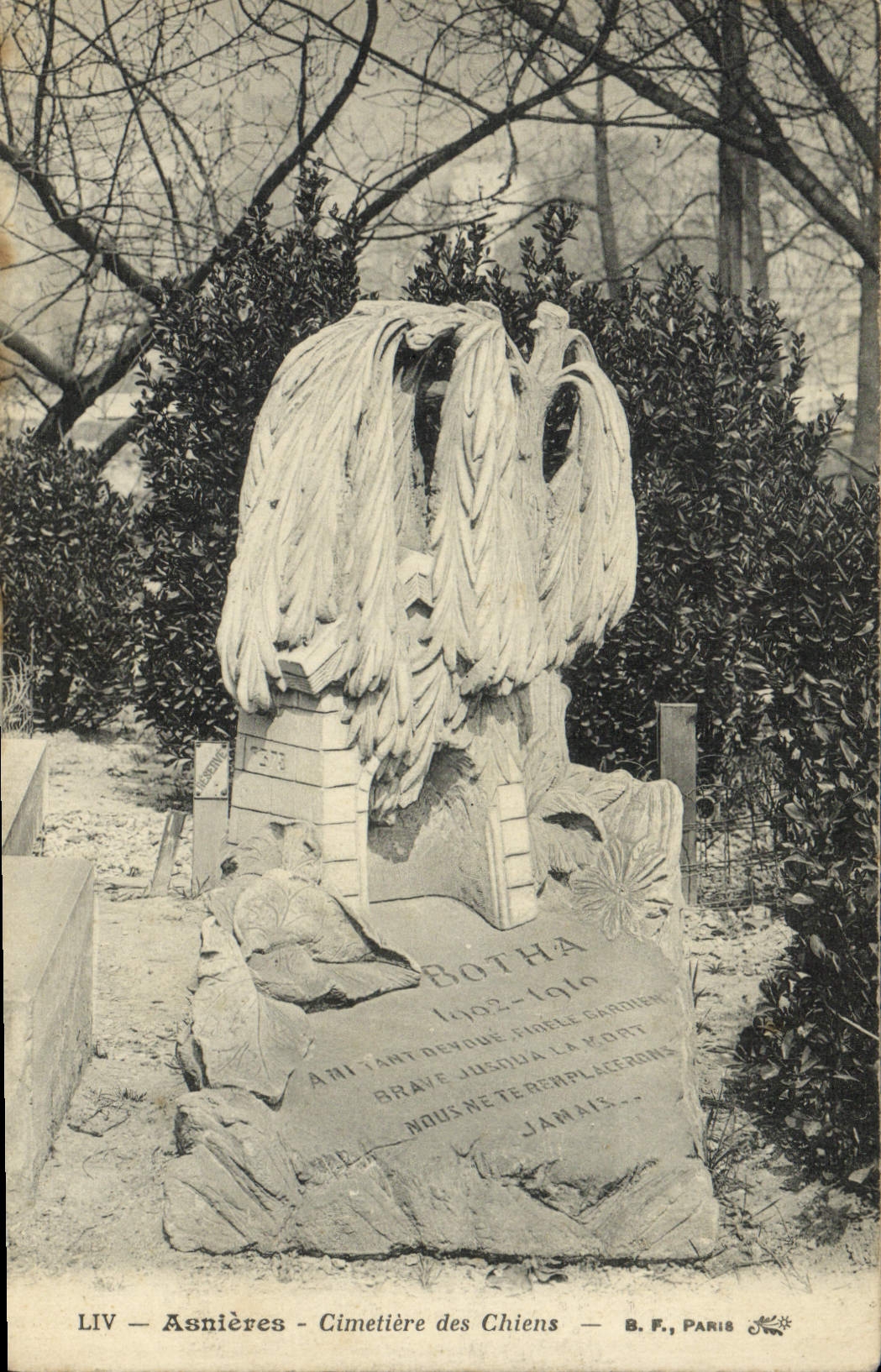 CPA Asnieres Cimetiere des Chiens
