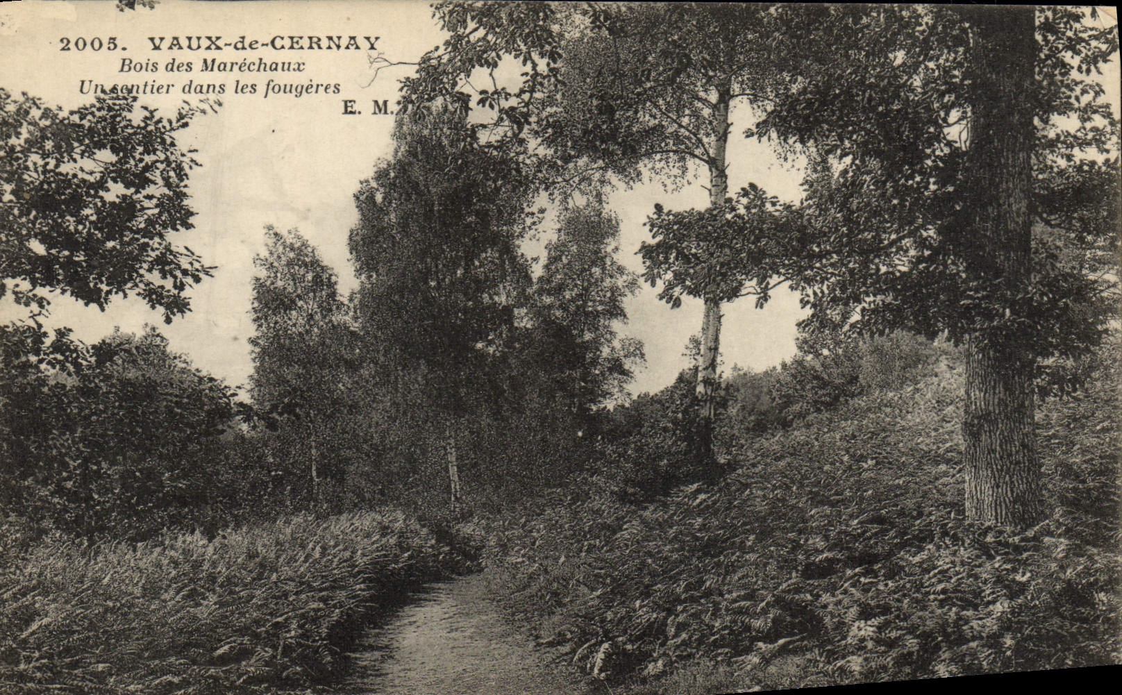 CPA Vaux de Cernay Bois des Marechaux Un sentier dans les fougeres