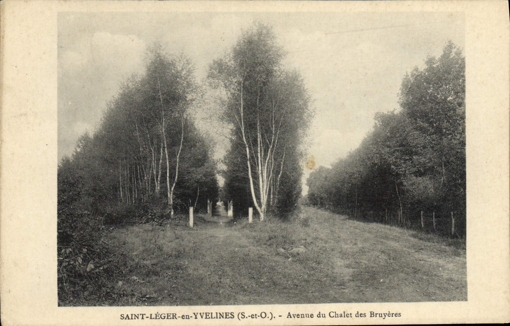 CPA Saint Leger en Yvelines Avenue du Chalet des Bruyeres