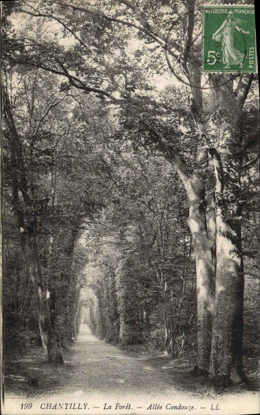 POSTAL Chantilly de la VENDIMIA el Condouze ido taladro