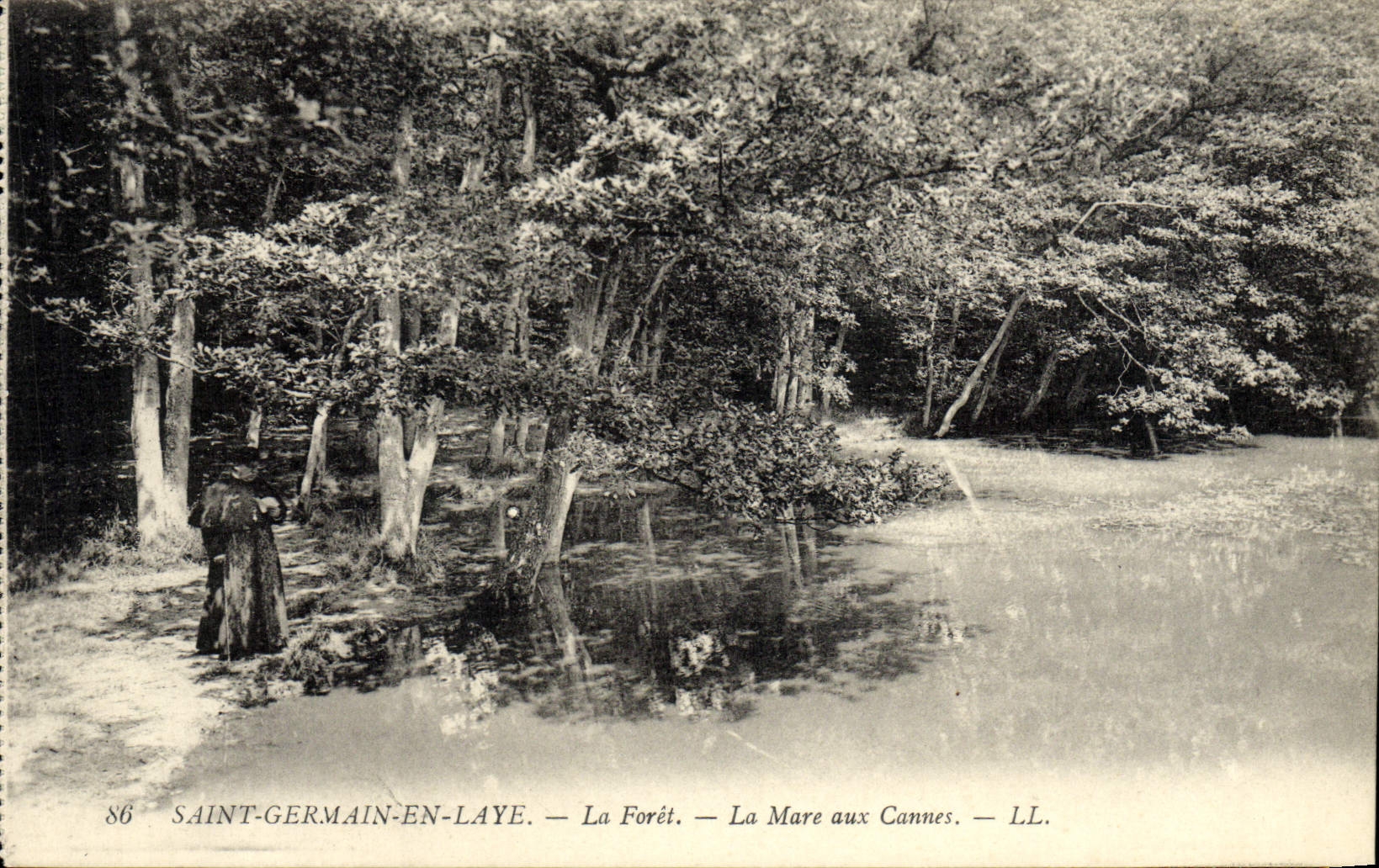 CPA Saint Germain en Laye La Foret La Mare aux Cannes