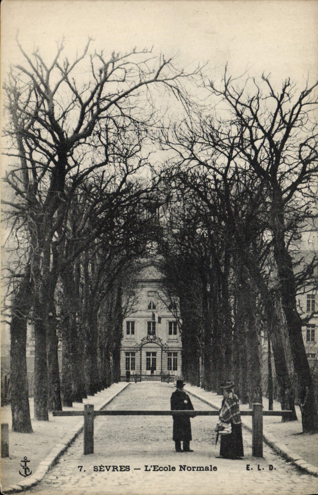 La POSTAL de la VENDIMIA separa la escuela de la formación del profesorado