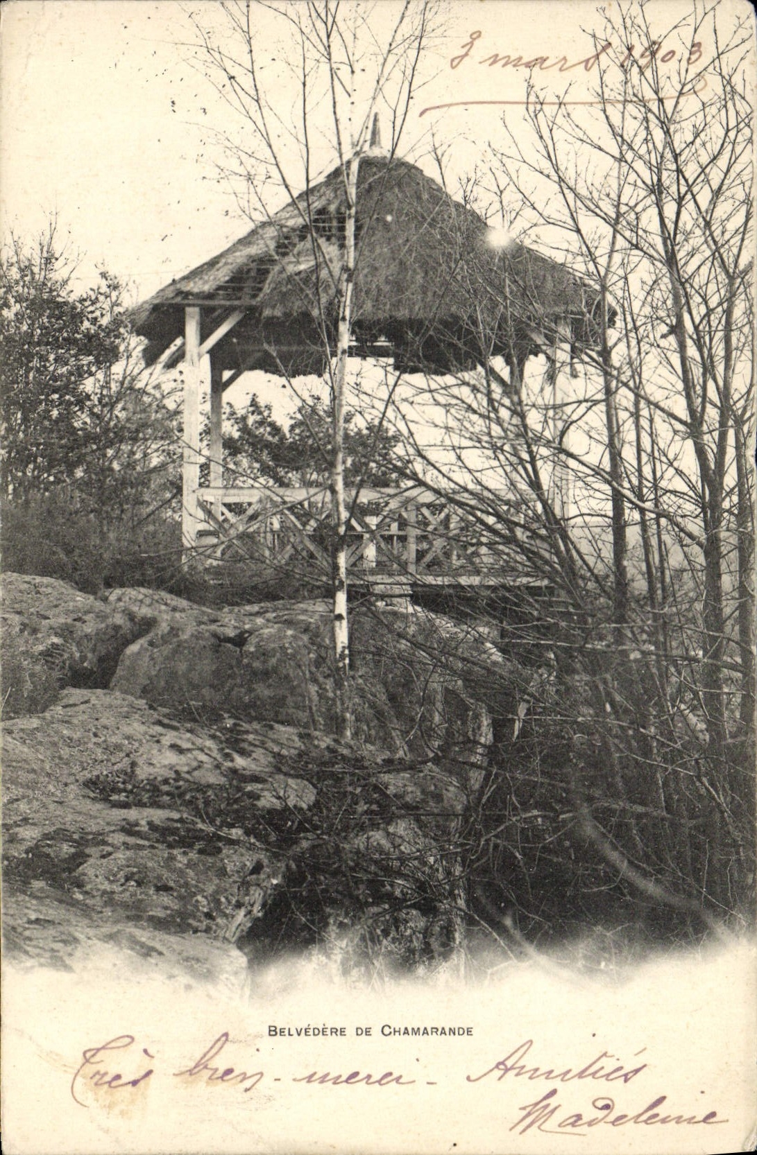 Punto de vista de la POSTAL de la VENDIMIA de Chamarande