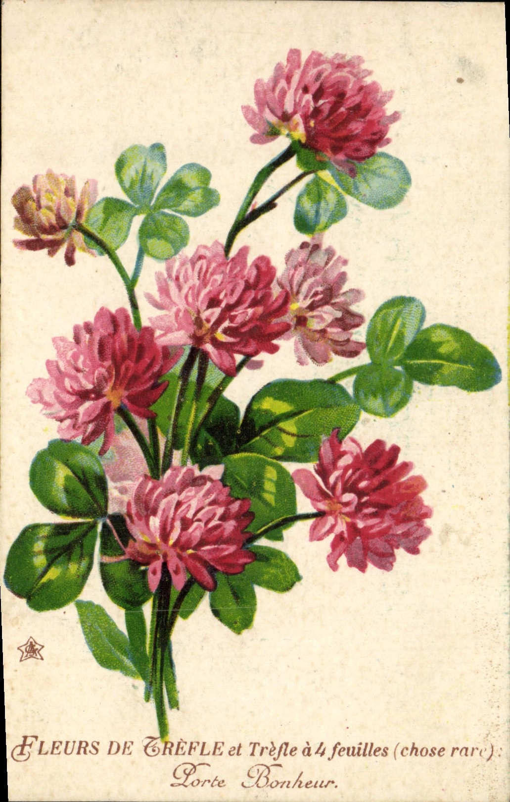 CPA Fleurs De trefle Porte bonheur