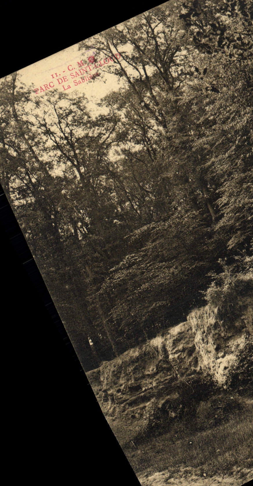 CPA Parc de Saint Cloud La Sabliere