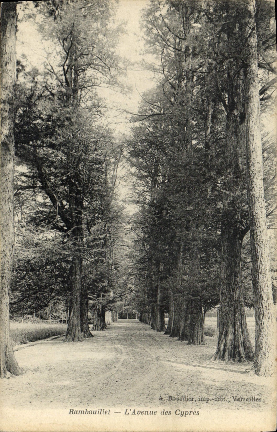 CPA Ramouillet L'Avenue Des Cypres