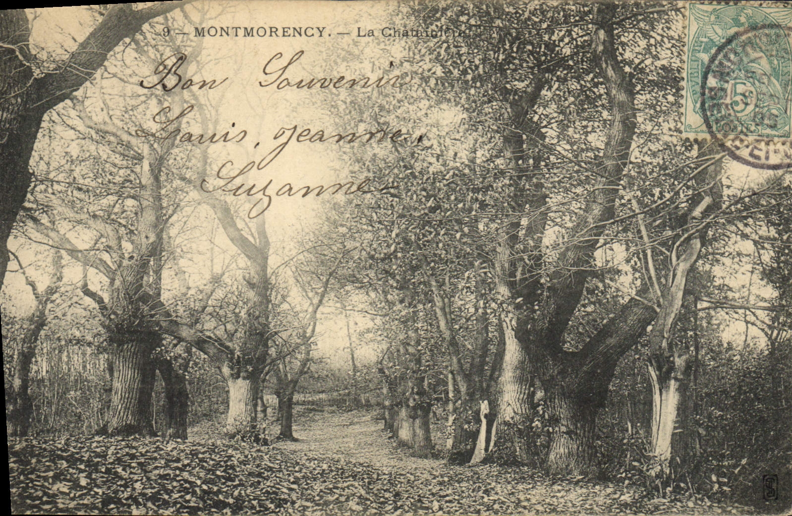 VINTAGE POSTCARD Montmorechy chataignery