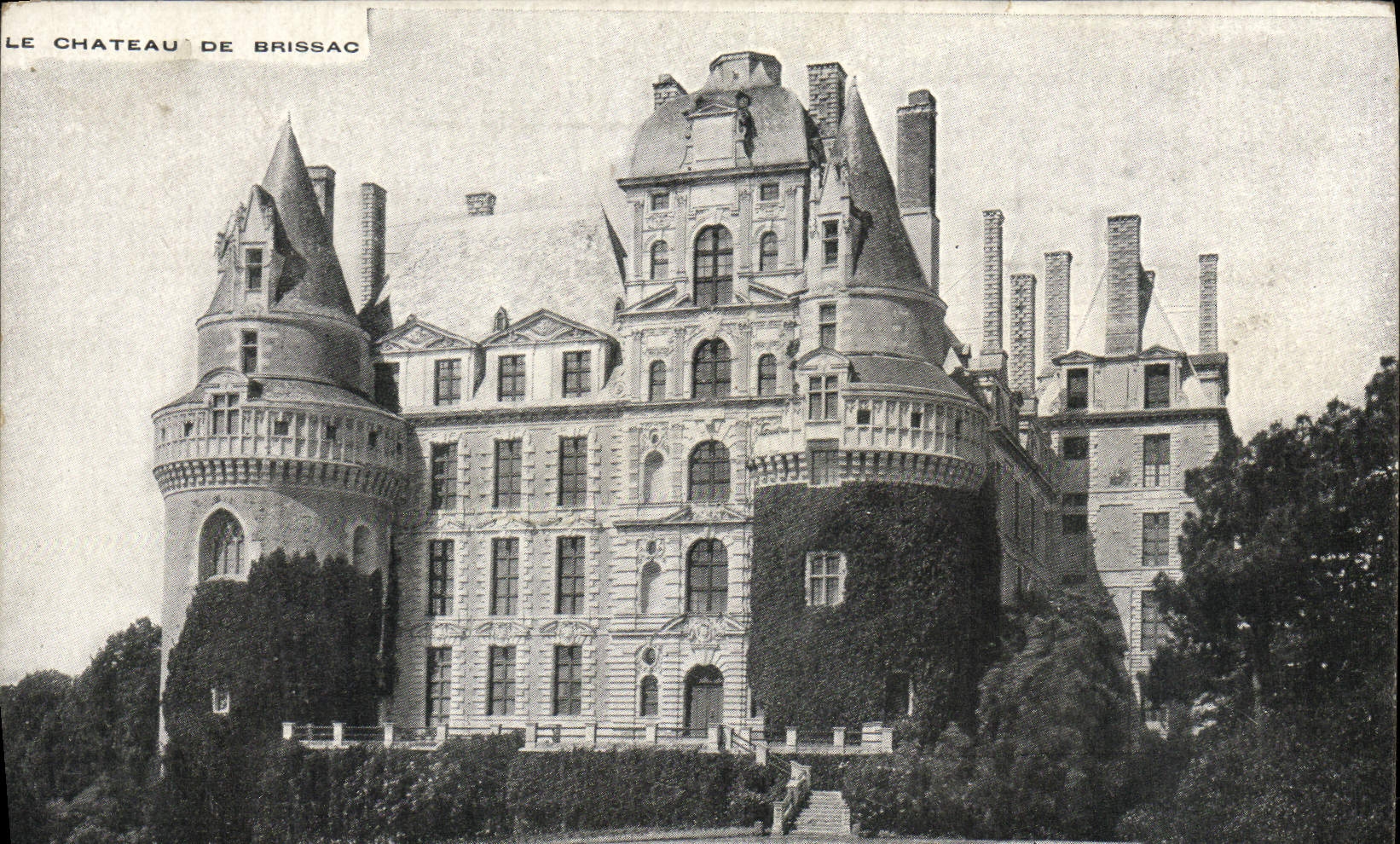 VINTAGE POSTCARD the Castle De Brissac