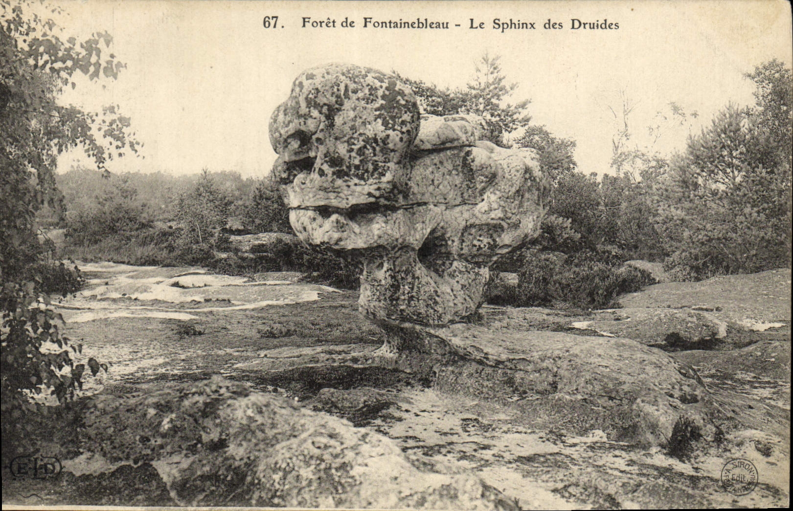 CPA Foret De Fontainebleau Le Sphinx Des Druides