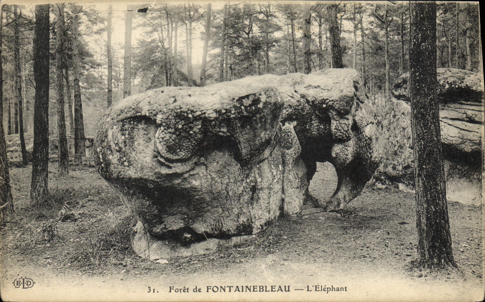 VINTAGE POSTCARD Strong De Fontainebleau the Elephant