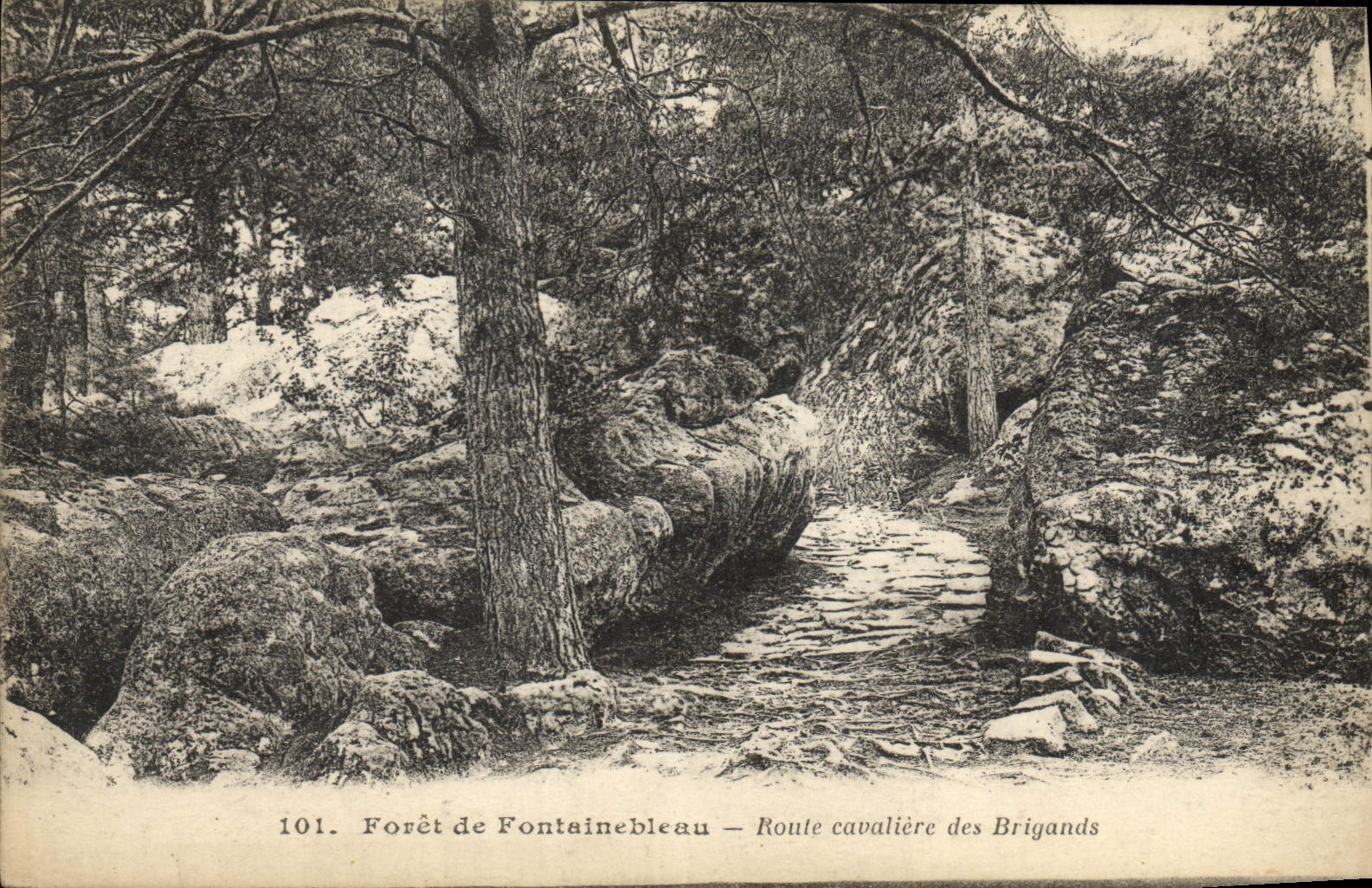 VINTAGE POSTCARD Drill De Fontainebleau Cavaliere Road Of the Brigands