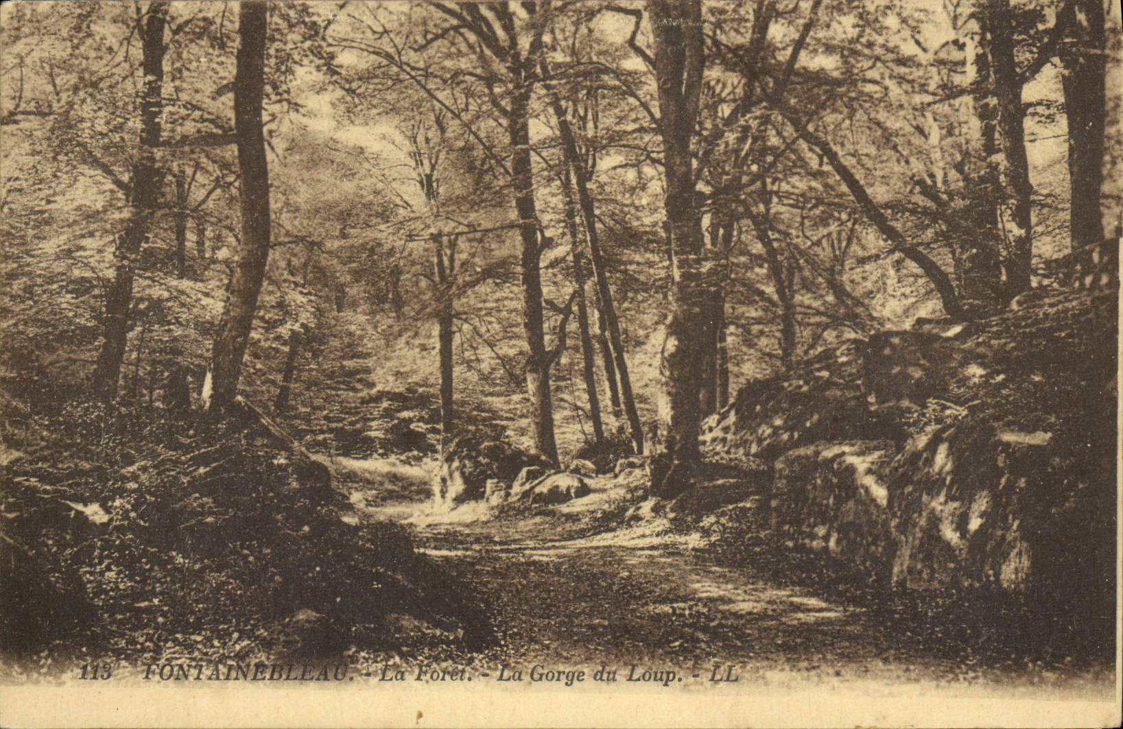 CPA Fontainebleau La Foret La Gorge du Loup