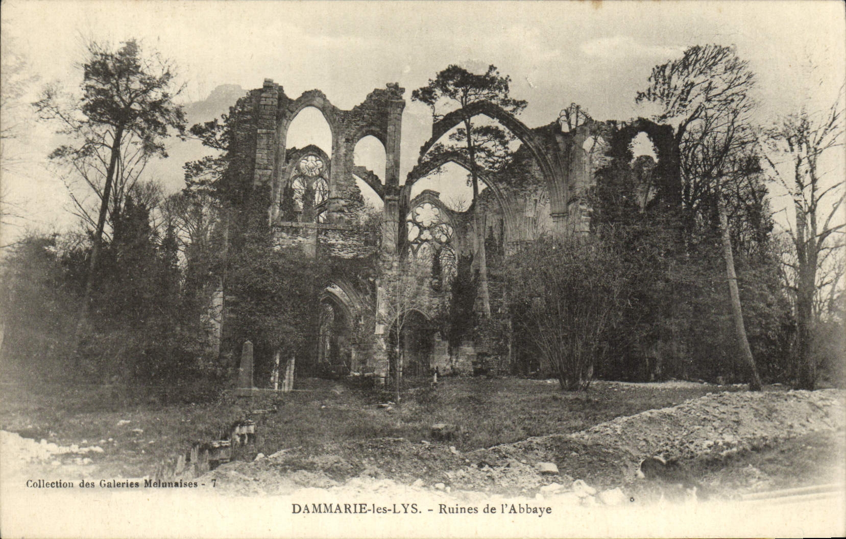 VINTAGE POSTCARD Dammarie the Lilies Ruins Of the Abbey