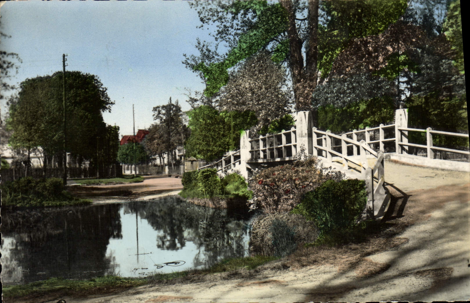 CPM Le Vesinet Bord Du Lac Des lbis Le Pont