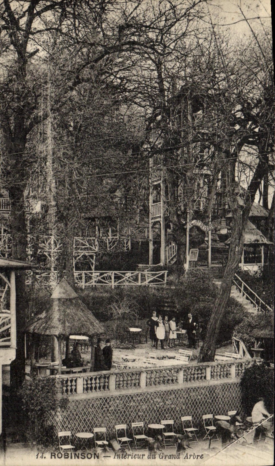 CPA Robinson Interieur Du Grand Arbre