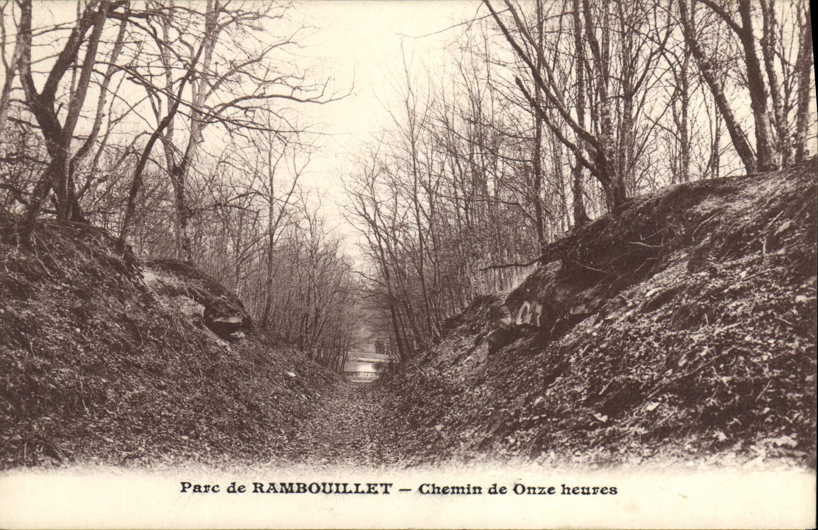 CPA Parc de Rambouillet chemin de onze heures