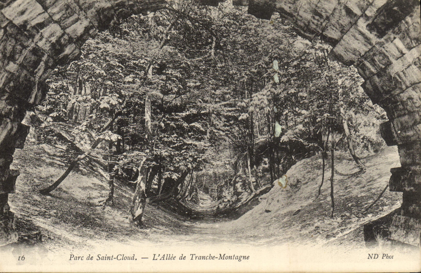 CPA Parc De Saint Cloud L'Allee De Tranche montagne