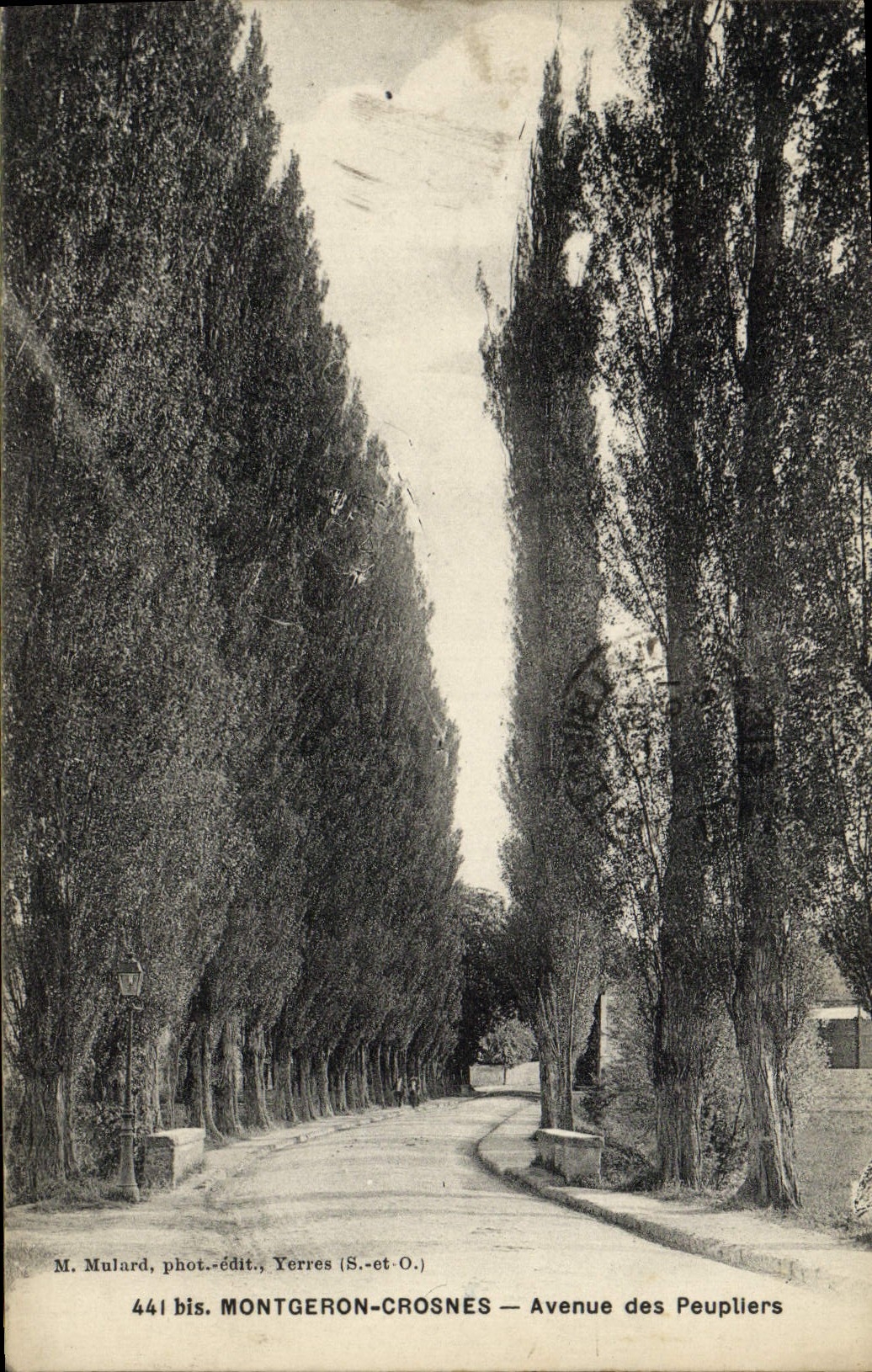 VINTAGE POSTCARD Montgeron Crosnes Avenue of Peupllers
