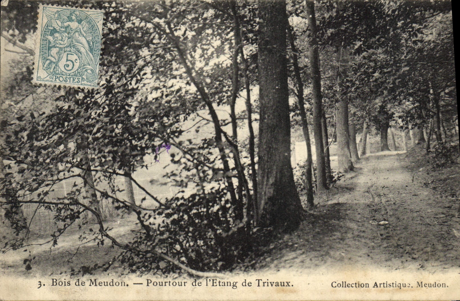 Madera de la POSTAL de la VENDIMIA de la circunferencia de Meudon de la charca de Trivaux