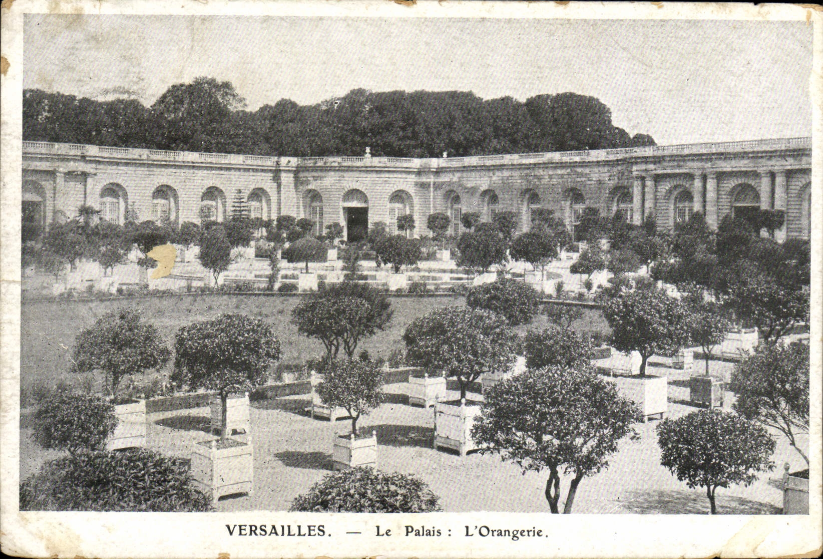 CPA Versailles Le Palais L'Orangerie