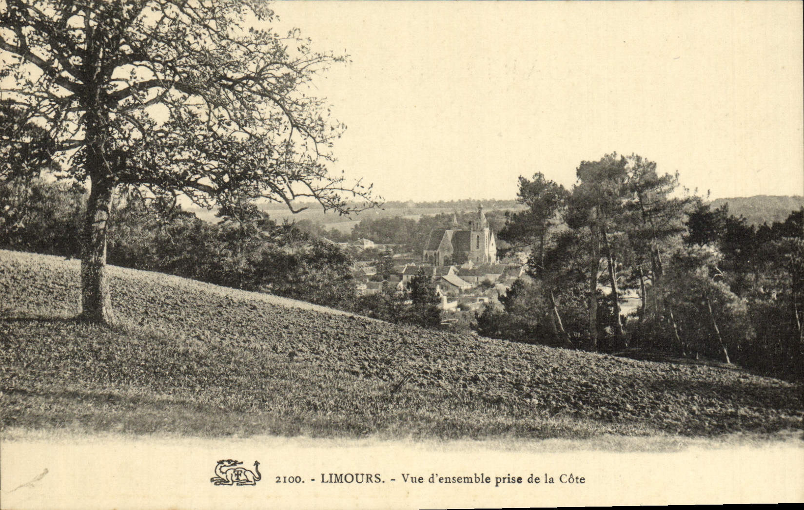 VINTAGE POSTCARD Limours Overall picture Catch of the Dimension