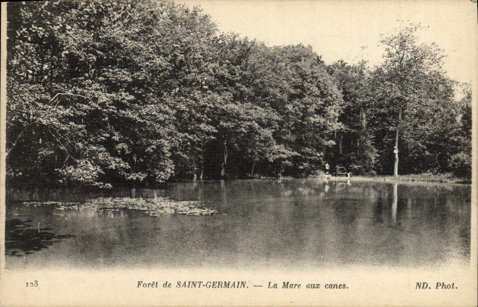 CPA Saint Germain En Laye Foret La Mare aux Canes