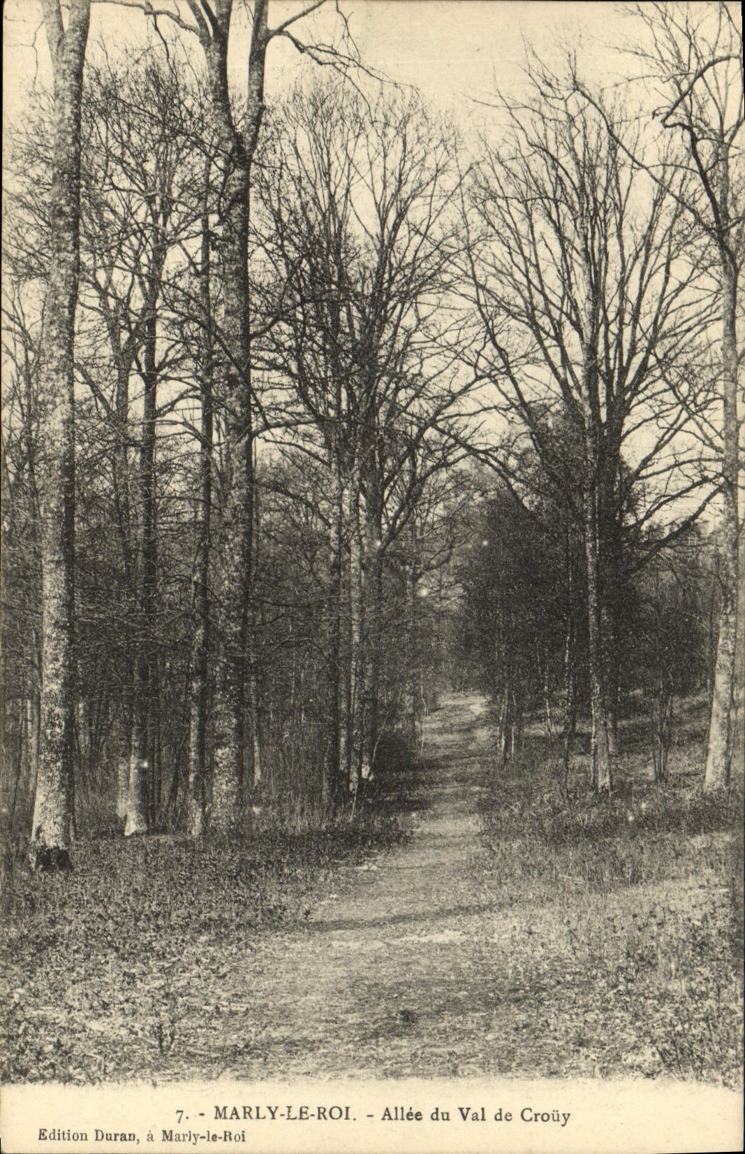 CPA Marly Le roi Allee Du Val De Crouy