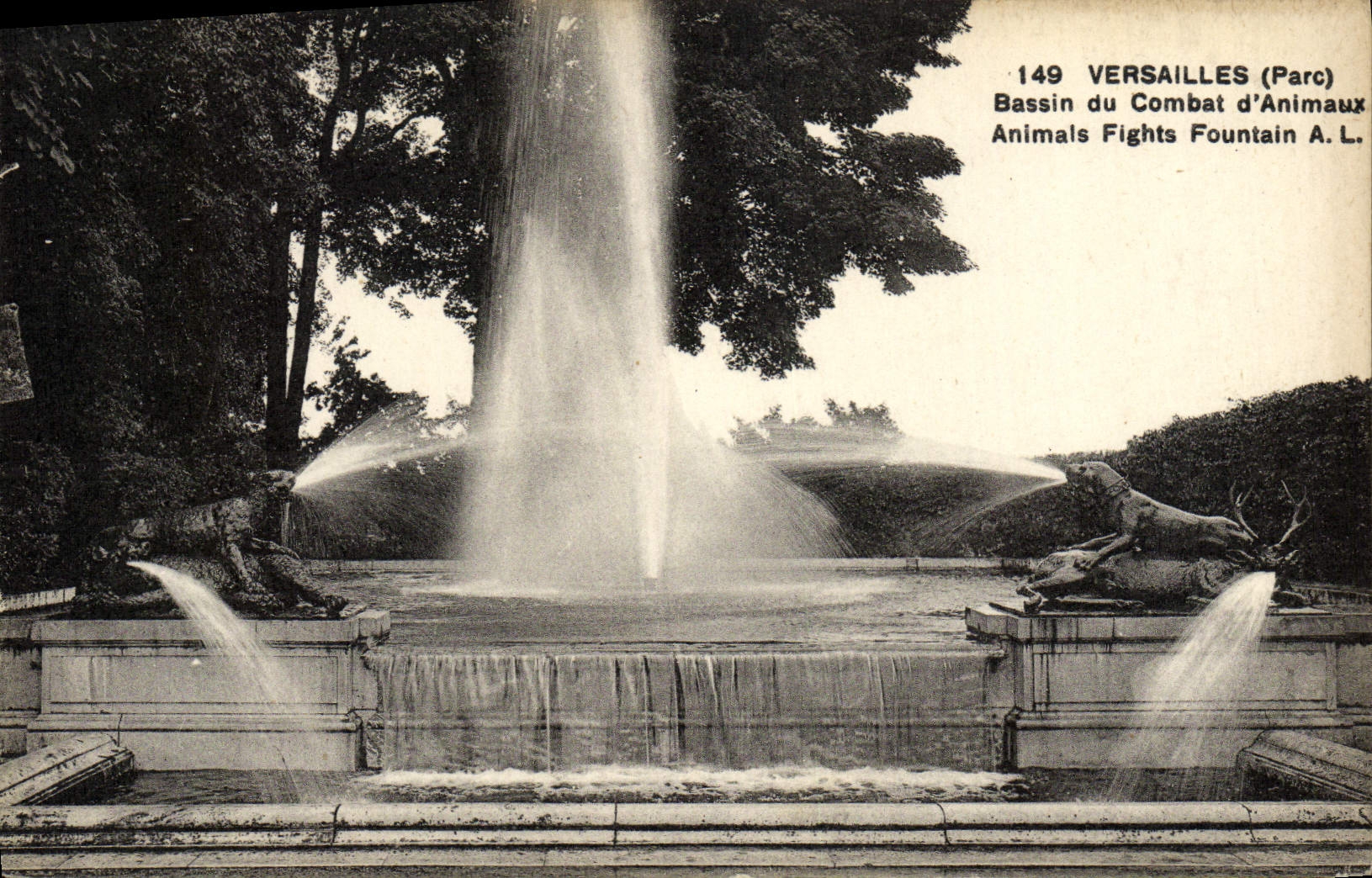 La POSTAL Versalles Bassin de la VENDIMIA del combate del macho del perro de los animales expulsa