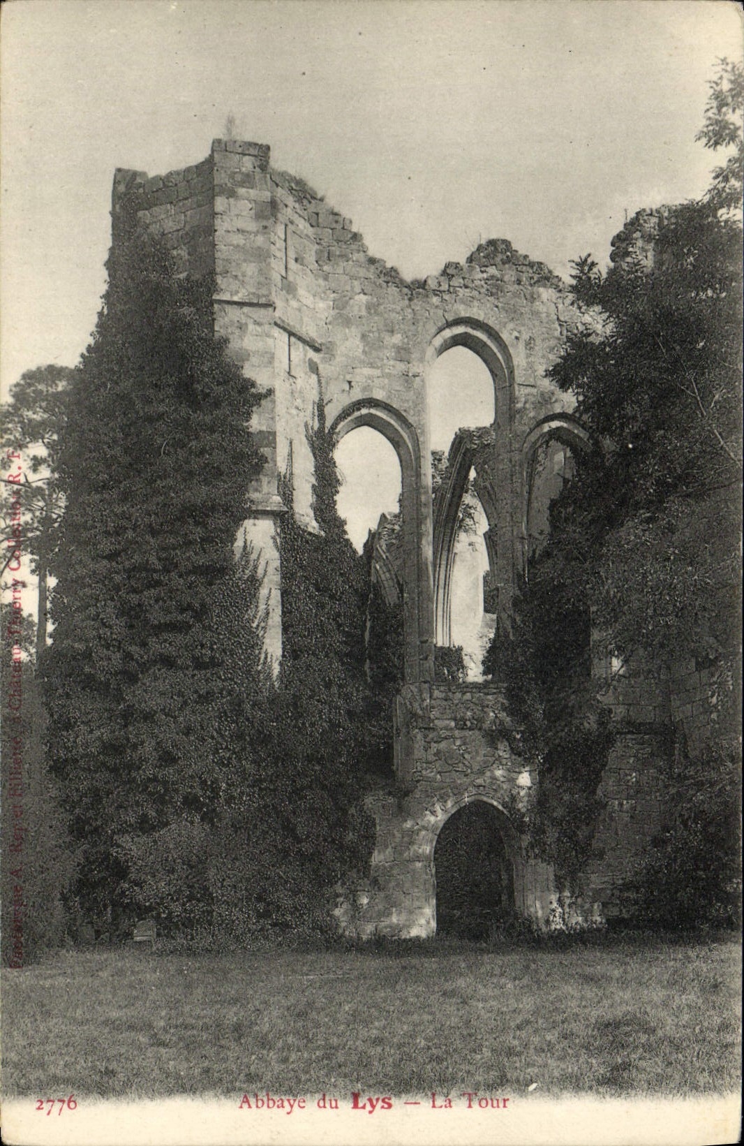 VINTAGE POSTCARD Abbey Of the Lily the Tower