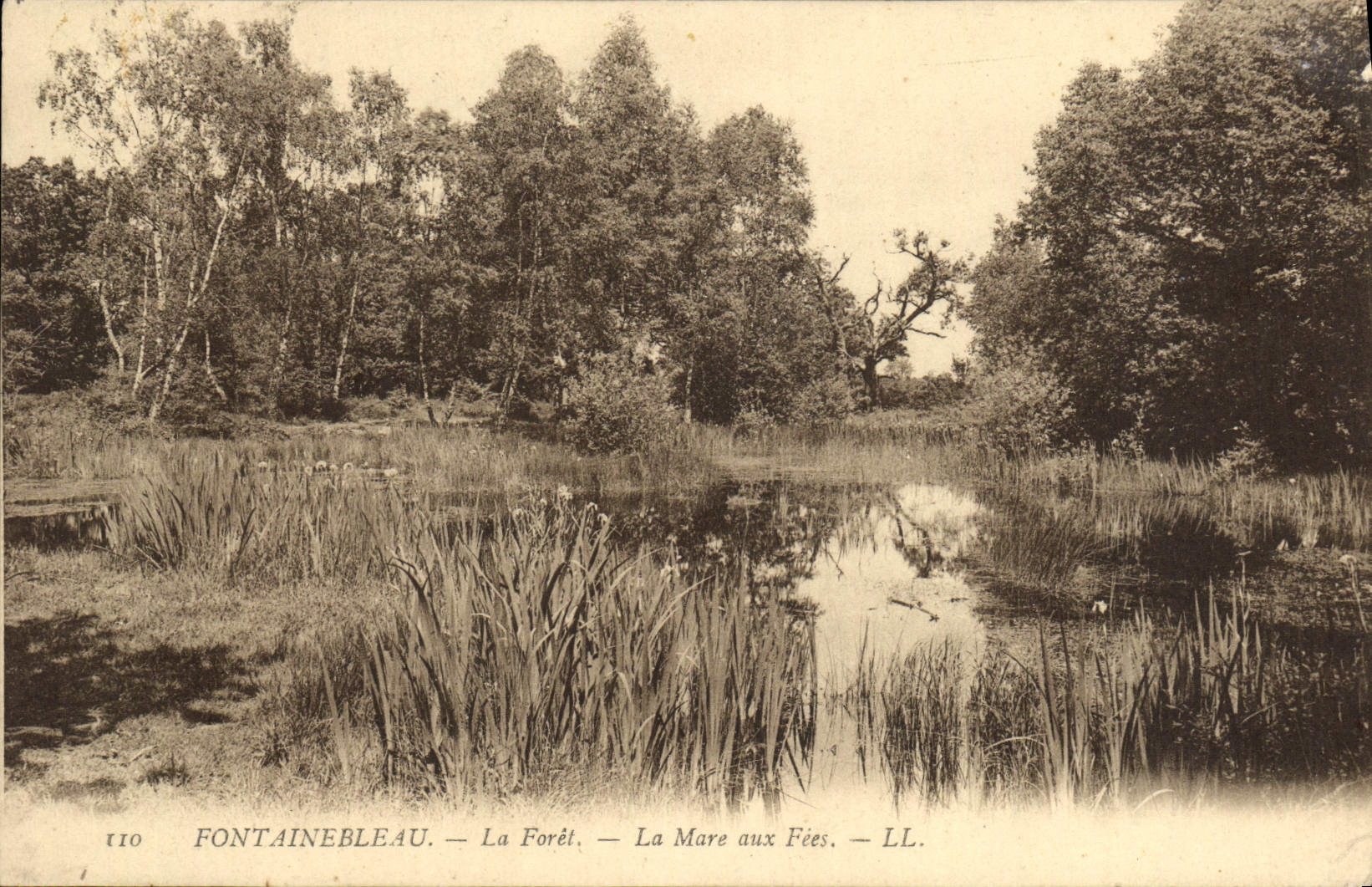 VINTAGE POSTCARD Fontainebleau the Drill the Pond With the Fairies