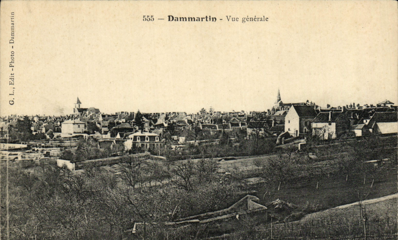 VINTAGE POSTCARD Dammartin View
