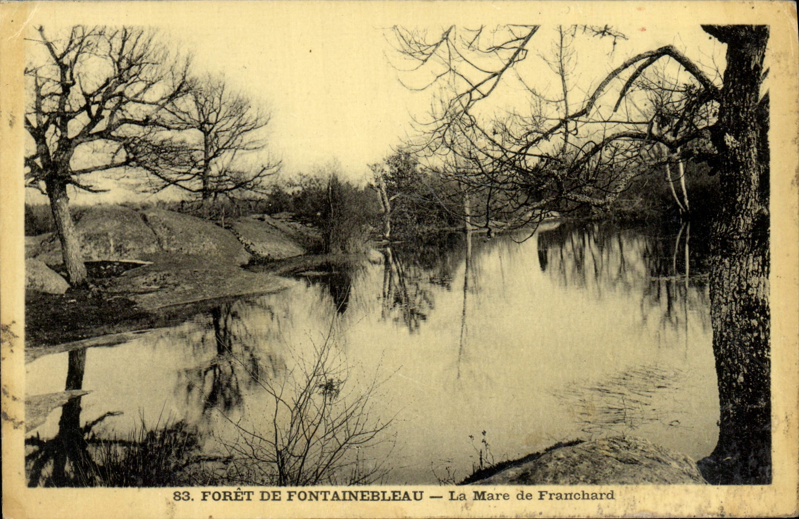 VINTAGE POSTCARD Drill De Fontainebleau the pond De Franchard