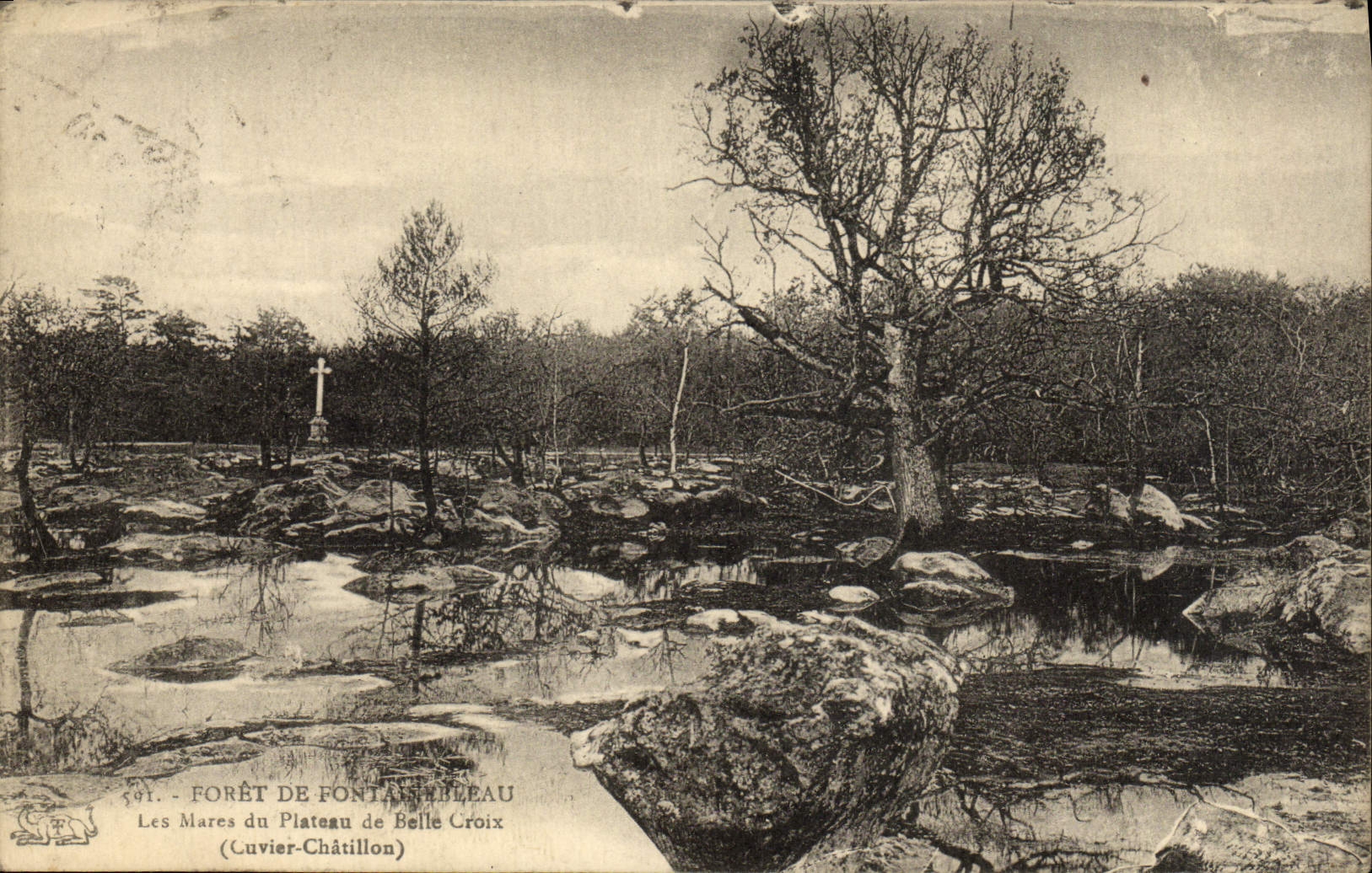 CPA Foret De Fontainebleau Les Mares Du Plateau De Belle Croix Cuvier Chatillon