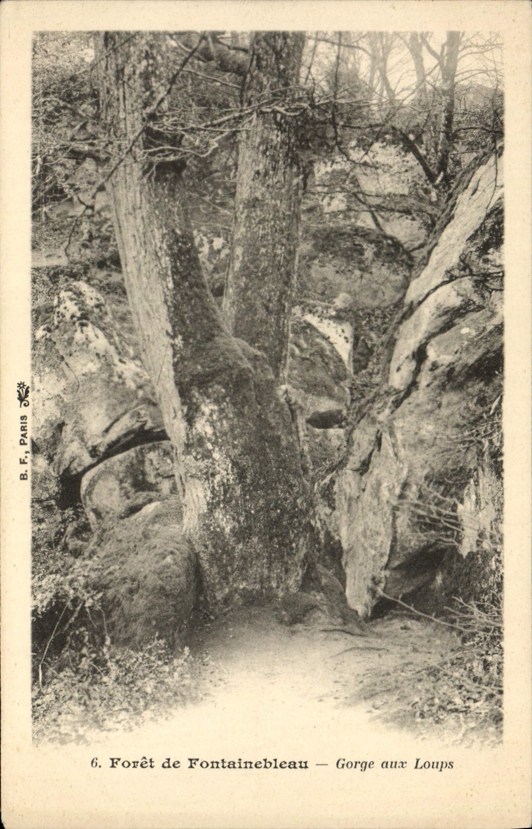 CPA Foret De Fontainebleau Gorge Aux Loups