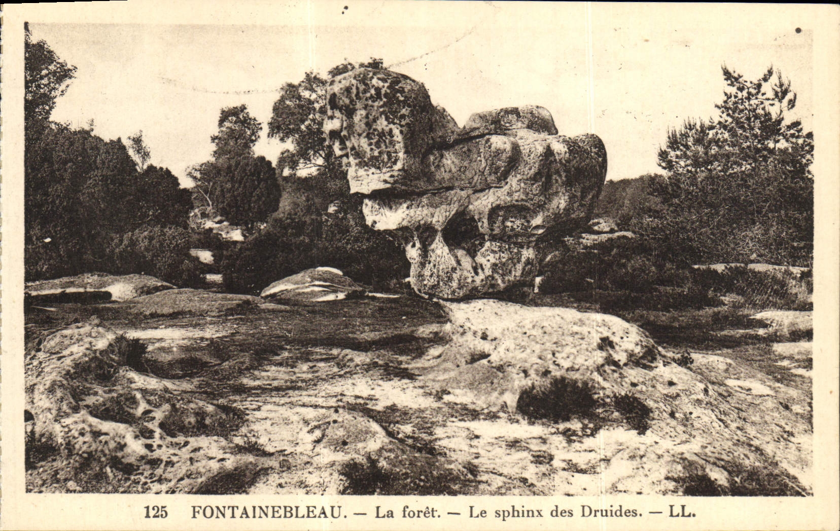 CPA Fontainebleau La Foret Le sphinx des druides