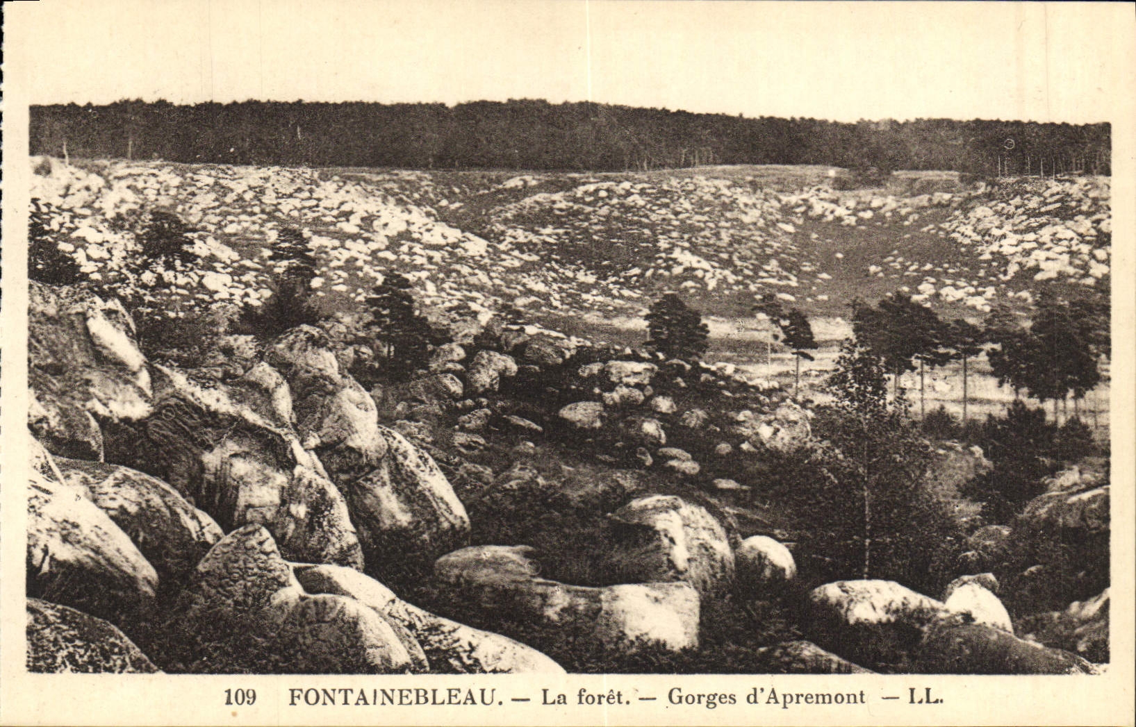 CPA Fontainebleau La Foret Gorges D'Apremont