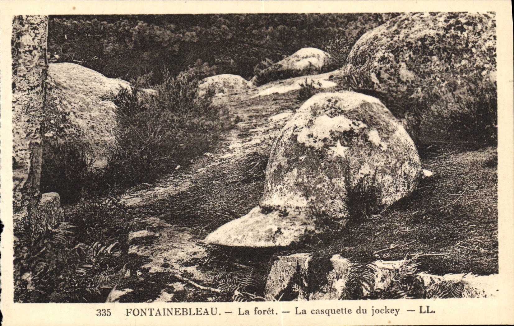CPA Fontainebleau La Foret La Casquette du jockey