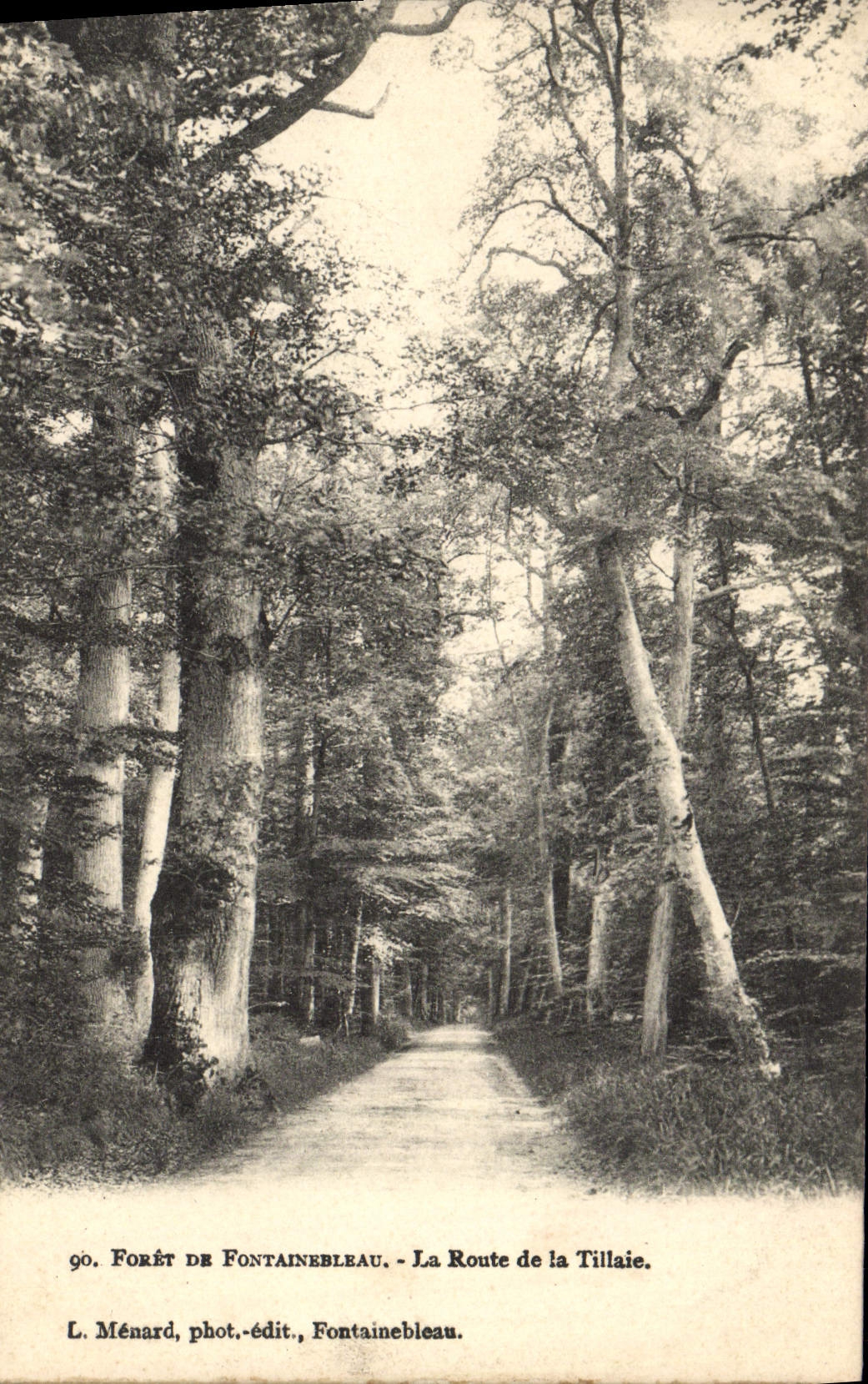 CPA Foret De Fontainbleau La Route De La Tillaie