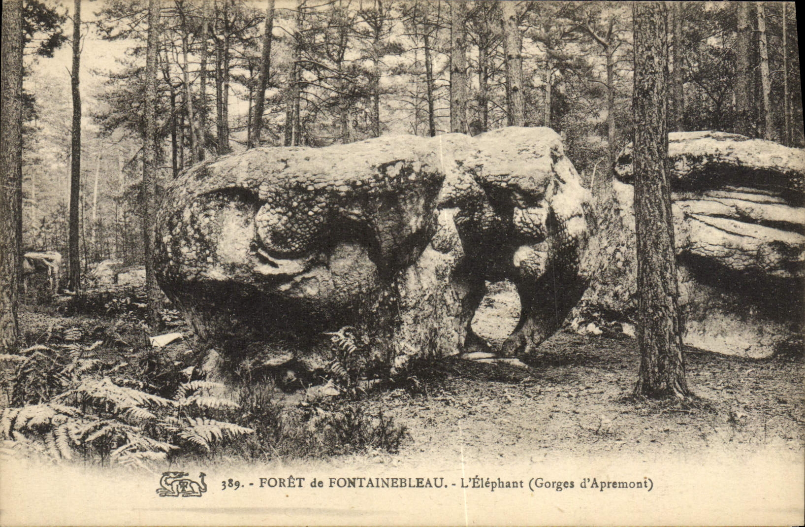 VINTAGE POSTCARD Drill De Fontainebleau the Elephant Elephant Falls of Apremont