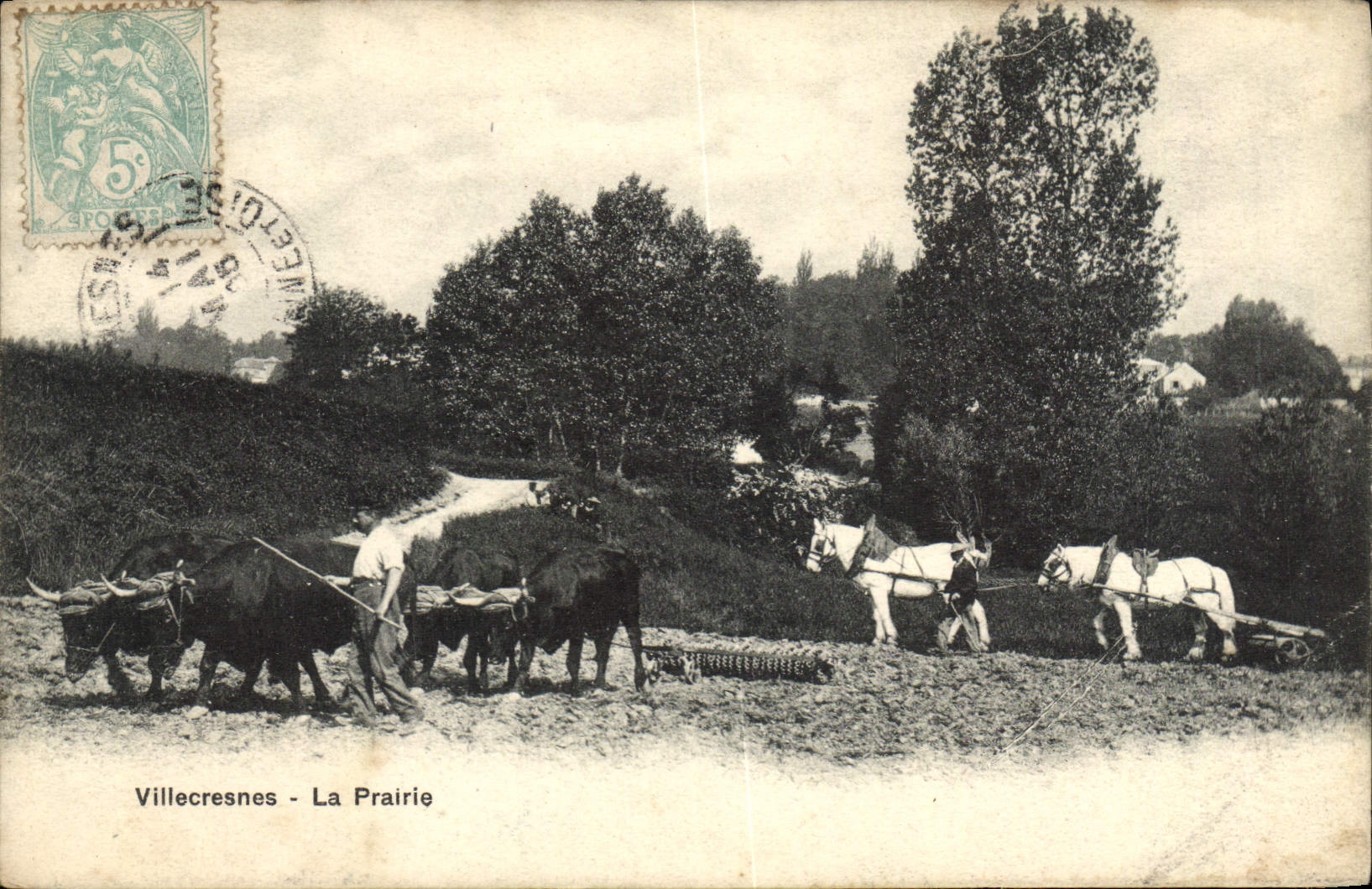 VINTAGE POSTCARD Villecresnes the Meadow Plow and oxen Peasant TOP