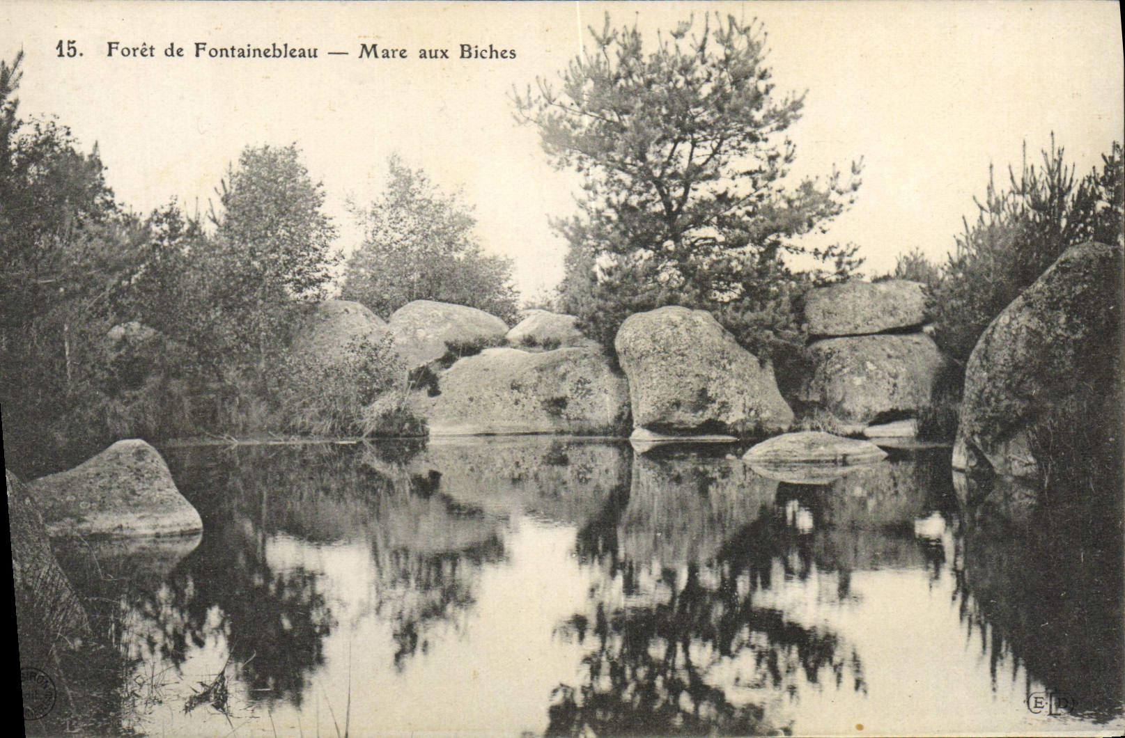 CPA Foret De Fontainebleau Mare Aux Biches