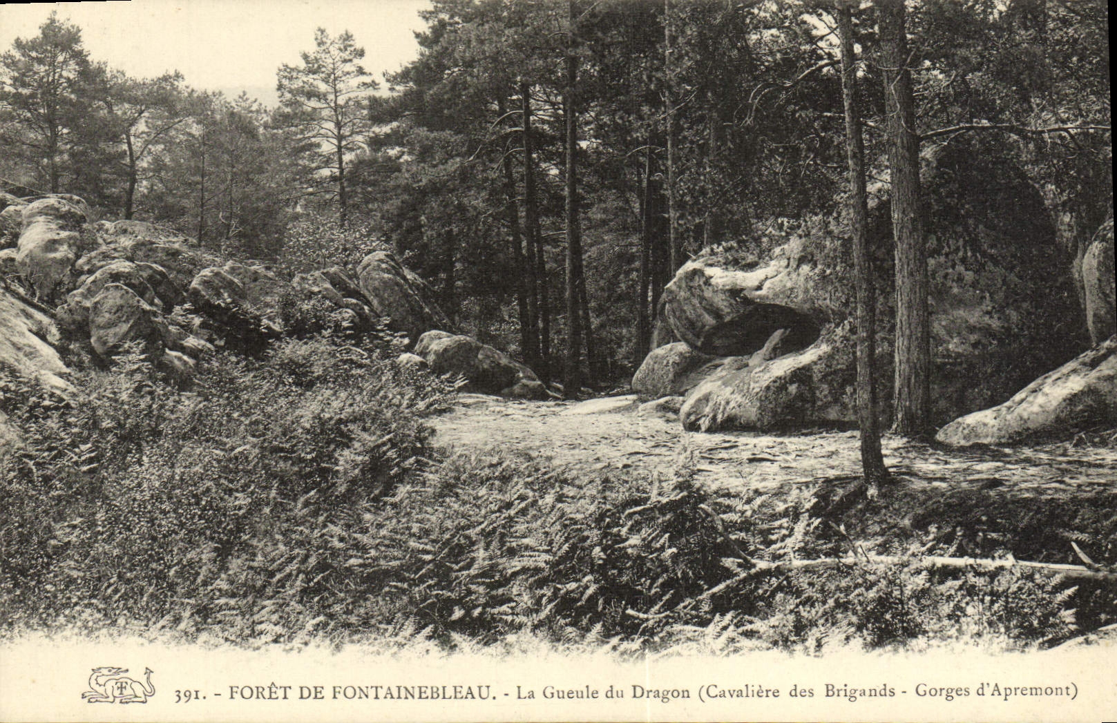 VINTAGE POSTCARD Drill De Fontainebleau the Mouth Of the Cavaliere Dragon of the Brigands Falls of Apremont