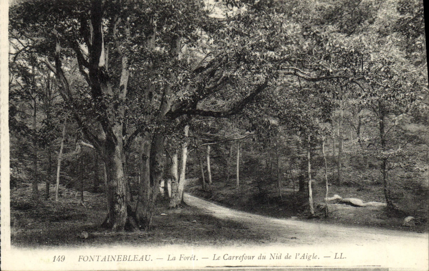 VINTAGE POSTCARD Fontainebleau the Drill the Crossroads Of the Eyrie