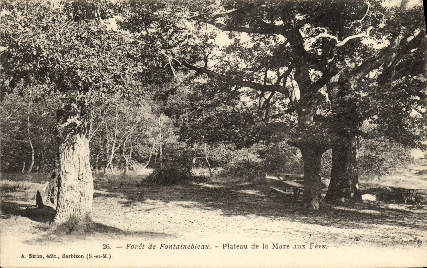 CPA Foret De Fontainebleau Plateau De La Mare Aux Fees
