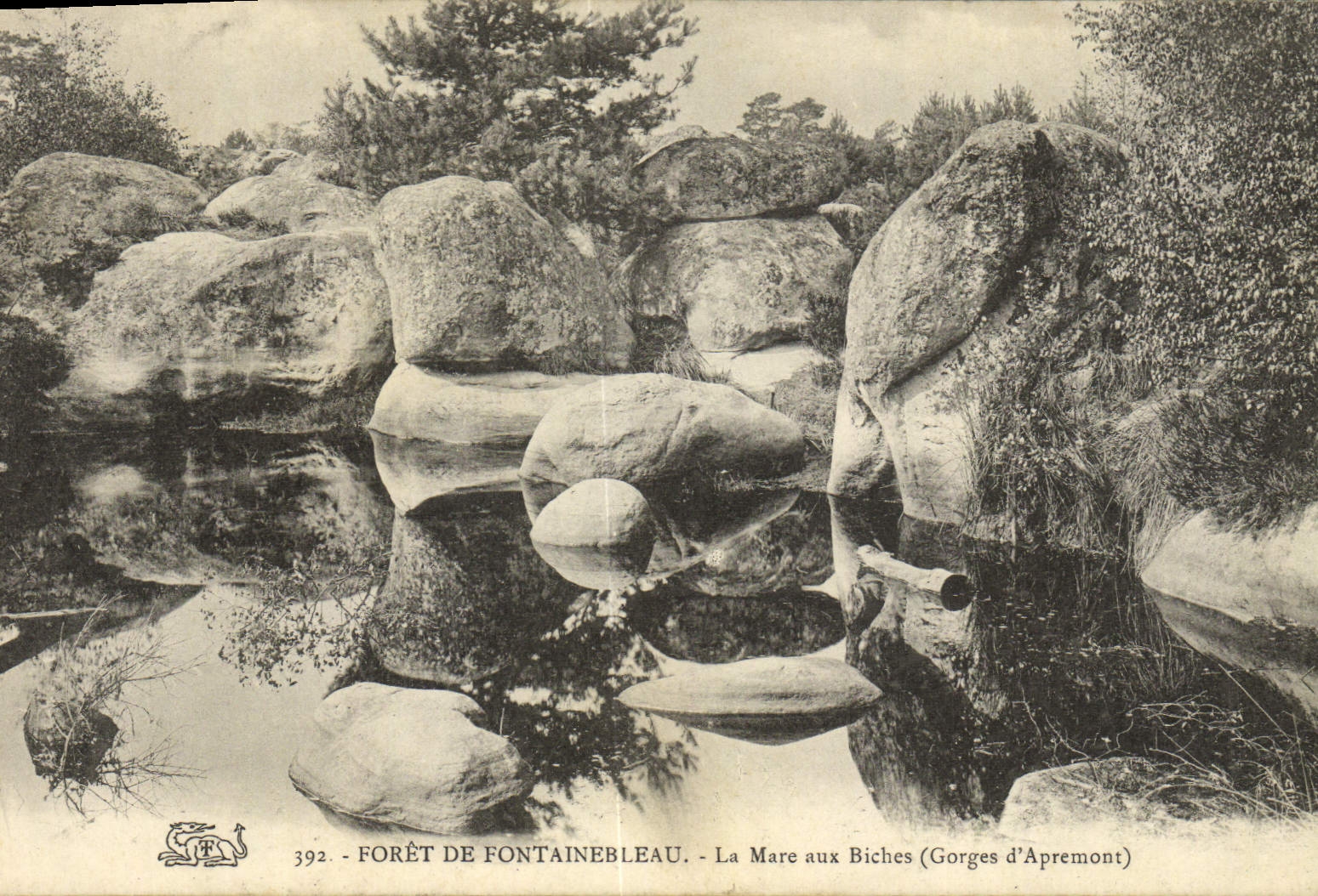 CPA Foret De Fontainebleau La Mare Aux Biches Gorges d'Apremont