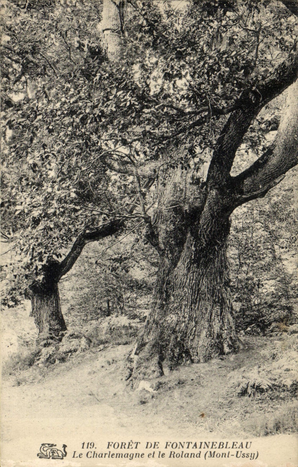 CPA Foret De Fontainebleau Le Charlemagne Et le Roland Mont Ussy