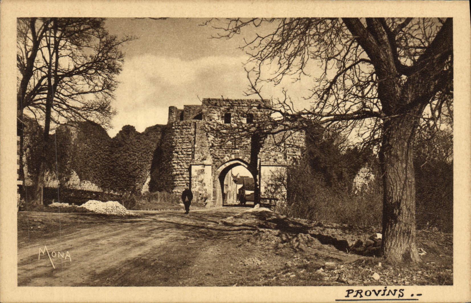 VINTAGE POSTCARD Layered branches the door St Jean
