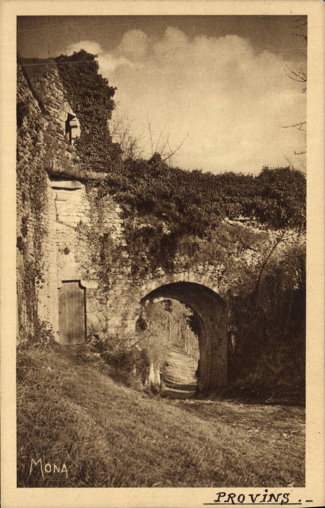 VINTAGE POSTCARD Layered branches the Faneron postern