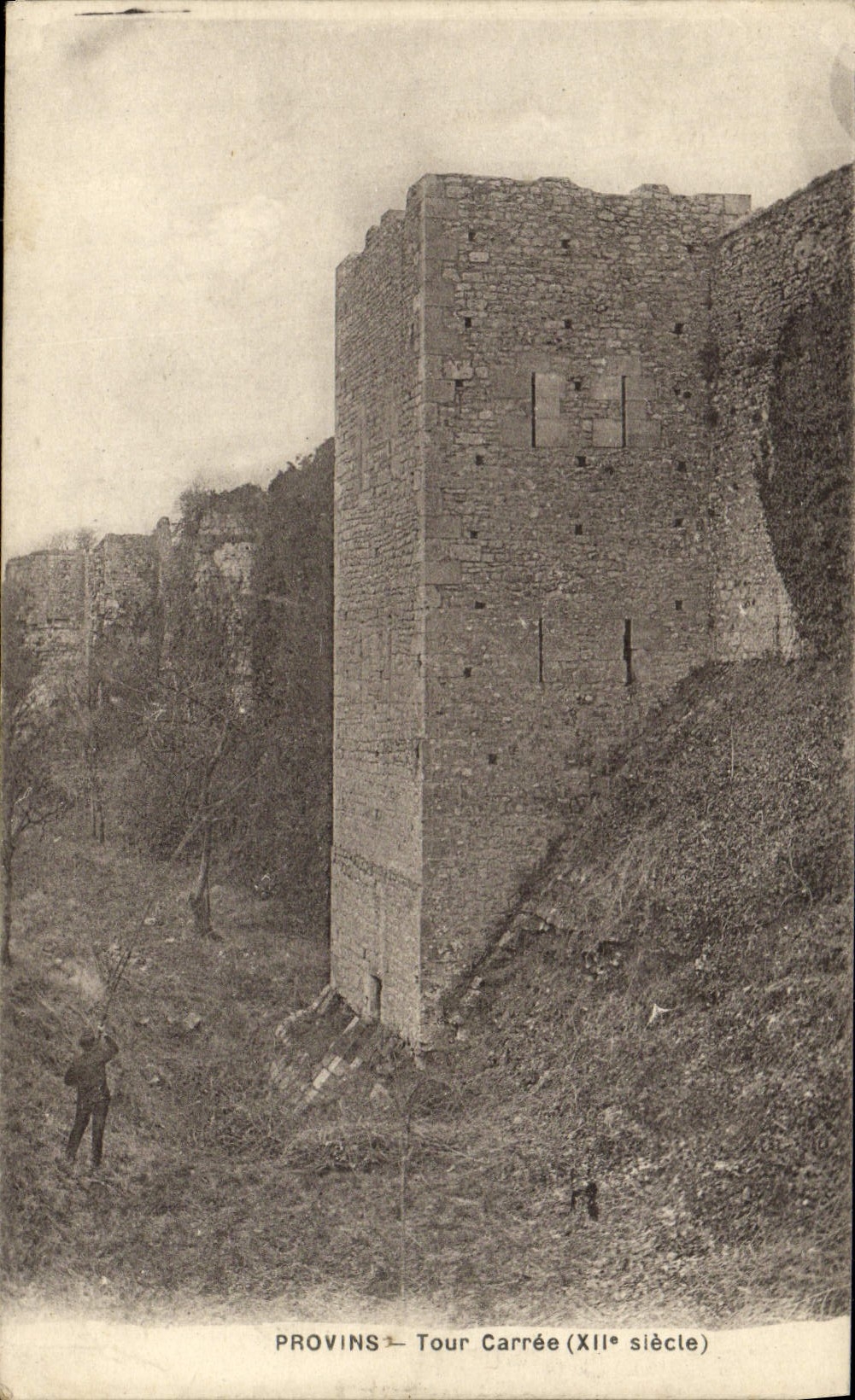 VINTAGE POSTCARD Layered branches Square Tower
